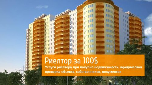 Риелтор 100$